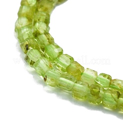 Natural Peridot Beads Strands&nbsp;G-P457-B01-06