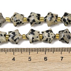 Natural Dalmatian Jasper Beads Strands&nbsp;G-Z080-A08-10mm