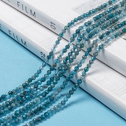 Natural Apatite Beads Strands&nbsp;G-K185-02