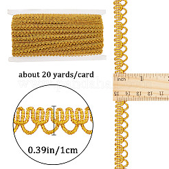Ethnic Style Polyester Lace Ribbons&nbsp;OCOR-WH0020-18A
