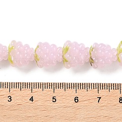Handmade Lampwork Beads Strands&nbsp;LAMP-Q036-05A