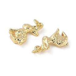 Brass Pendants&nbsp;KK-L245-03G-01