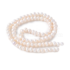 Natural Cultured Freshwater Pearl Beads Strands&nbsp;PEAR-I007-07R-02