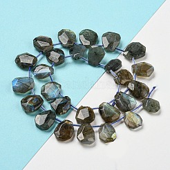 Natural Labradorite Beads Strands&nbsp;G-Z040-A03-01