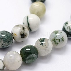 Natural Tree Agate Beads Strands&nbsp;G-I199-03-10mm