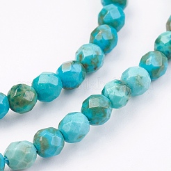 Natural Magnesite Beads Strands&nbsp;TURQ-P027-80-3mm