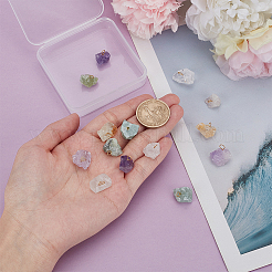 Natural Gemstone Pendants&nbsp;PALLOY-FG00001