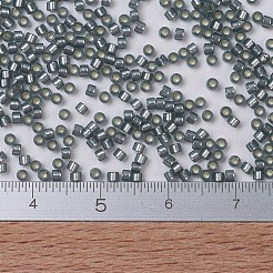 MIYUKI Delica Beads&nbsp;SEED-J020-DB0697