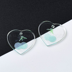 Transparent Resin Pendants&nbsp;RESI-N030-002C