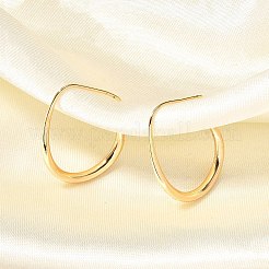 Brass Dangle Earrings&nbsp;KK-T056-110G-NF