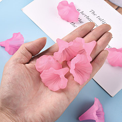 Transparent Acrylic Beads&nbsp;BSF796-C10