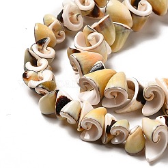 Natural Sea Shell Beads Strands&nbsp;BSHE-E026-14