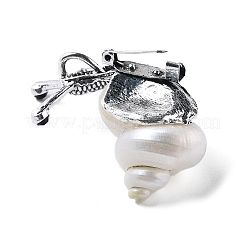 Snail White Natural Conch Shell Fossil Brooch Pin&nbsp;JEWB-A020-01AS-02