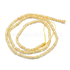 Natural Yellow Apatite Beads Strands&nbsp;G-P457-B01-13