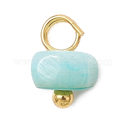 Dyed Natural Freshwater Shell Nuggets Charms&nbsp;PALLOY-JF05032-01