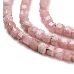 Natural Rhodonite Beads&nbsp;G-H042-B20-01