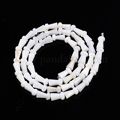 Natural Freshwater Shell Beads Strands&nbsp;SHEL-N026-213-A01