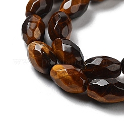 Natural Tiger Eye Beads Strands&nbsp;G-P520-C19-01