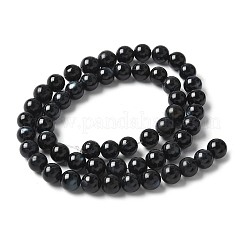 Natural Black Lip Shell Beads Strands&nbsp;SSHEL-C013-01B