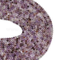 Natural Purple Phantom Quartz/Purple Lodolite Quartz Beads Strands&nbsp;G-L661-A01-4mm