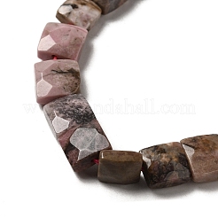 Natural Rhodonite Beads Strands&nbsp;G-C109-A03-02