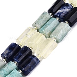 Natural Sodalite & Flower Amazonite & Lemon Quartz Beads Strands&nbsp;G-Q614-01A-01
