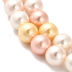 Shell Pearl Beads Strands&nbsp;BSHE-XCP0001-36