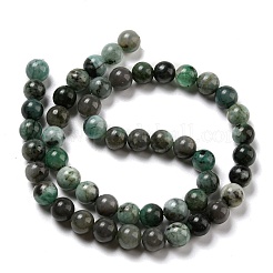 Synthetic Emerald Beads Strands&nbsp;G-A219-A02-03-1