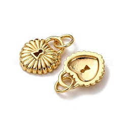 Brass Charms&nbsp;KK-A270-04G