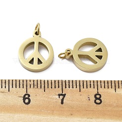 304 Stainless Steel Pendants&nbsp;STAS-D302-02G