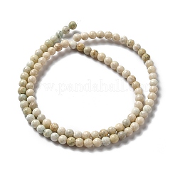 Natural Magnesite Beads Strands&nbsp;X-G-L555-02A-01
