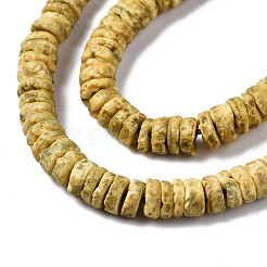 Natural Sea Shell Beads Strands&nbsp;SSHEL-N032-22