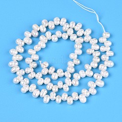 Natural Cultured Freshwater Pearl Beads Strands&nbsp;PEAR-T006-20