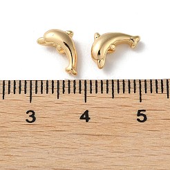 Rack Plating Brass Beads&nbsp;KK-M264-06G