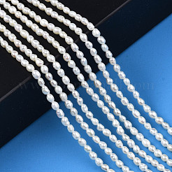 Natural Cultured Freshwater Pearl Beads Strands&nbsp;PEAR-N012-02G