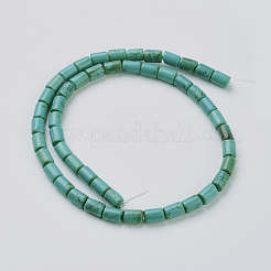 Natural Magnesite Beads Strands&nbsp;TURQ-K003-21D