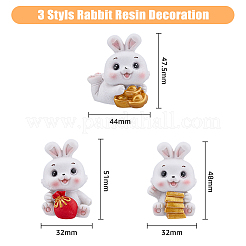 3Pcs 3 Style Resin Display Decoration&nbsp;DJEW-DC0001-01