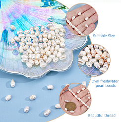 2 Strands Natural Cultured Freshwater Pearl Beads Strands&nbsp;PEAR-FI0001-06