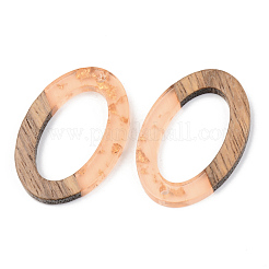 Transparent Resin & Walnut Wood Pendants&nbsp;RESI-S389-022A-B