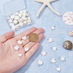 50Pcs 5 Styles Natural Freshwater Shell Connector Charms&nbsp;PALLOY-HS00009