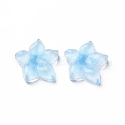 Transparent Epoxy Resin Cabochons&nbsp;CRES-S365-23B