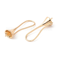 Brass Earring Hooks&nbsp;KK-Q770-10G