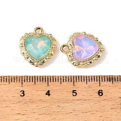 Alloy Pendants&nbsp;FIND-K032-01G