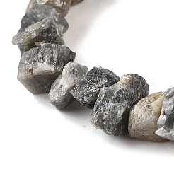 Natural Labradorite Beads Strands&nbsp;G-I283-F14