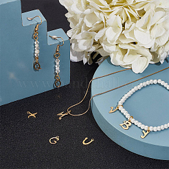 304 Stainless Steel Charms&nbsp;STAS-SC0001-68G