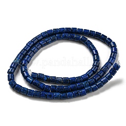 Natural Lapis Lazuli Beads Strands&nbsp;X-G-C084-A05-01