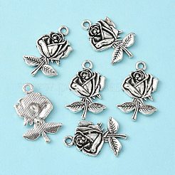 Tibetan Style Alloy Pendants&nbsp;TIBEP-EA155YKG-AS-LF