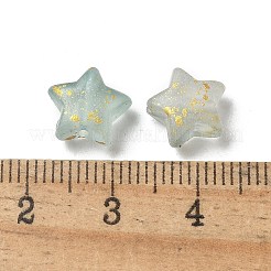 Frosted Acrylic Charms&nbsp;OACR-M023-04D