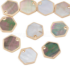 10Pcs Natural Black Lip Shell Hexagon Charms&nbsp;BSHE-TA0001-25