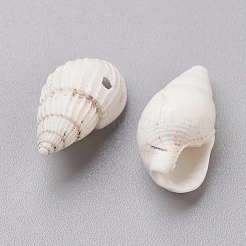 Spiral Shell Beads&nbsp;BSHE-L037-03